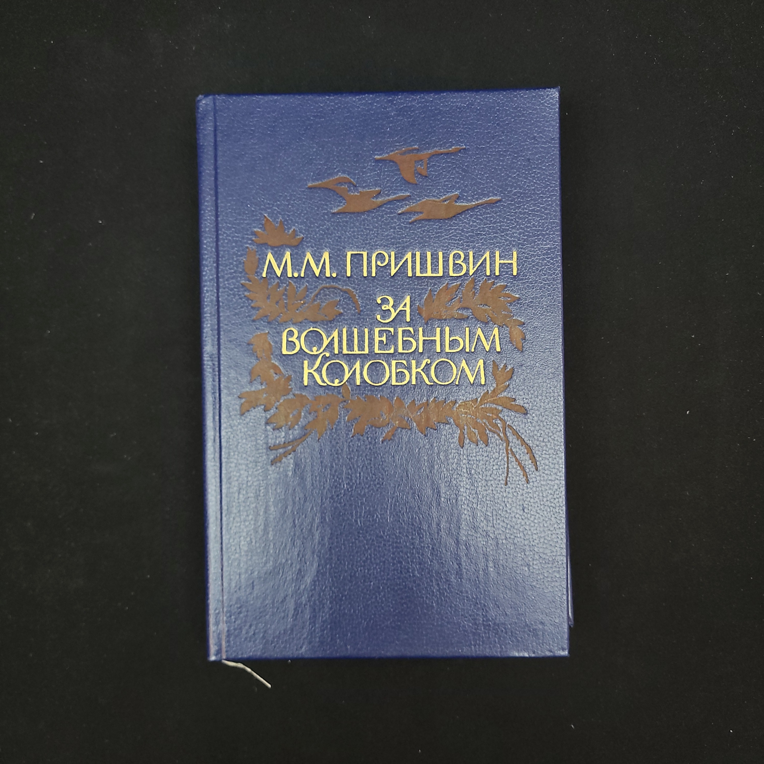 Картинка 1