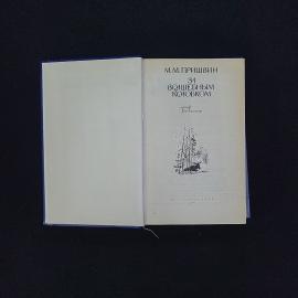 Картинка 3