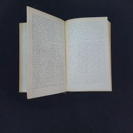 Картинка 4