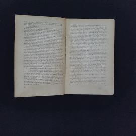 Картинка 4