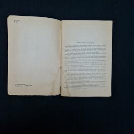 Картинка 4