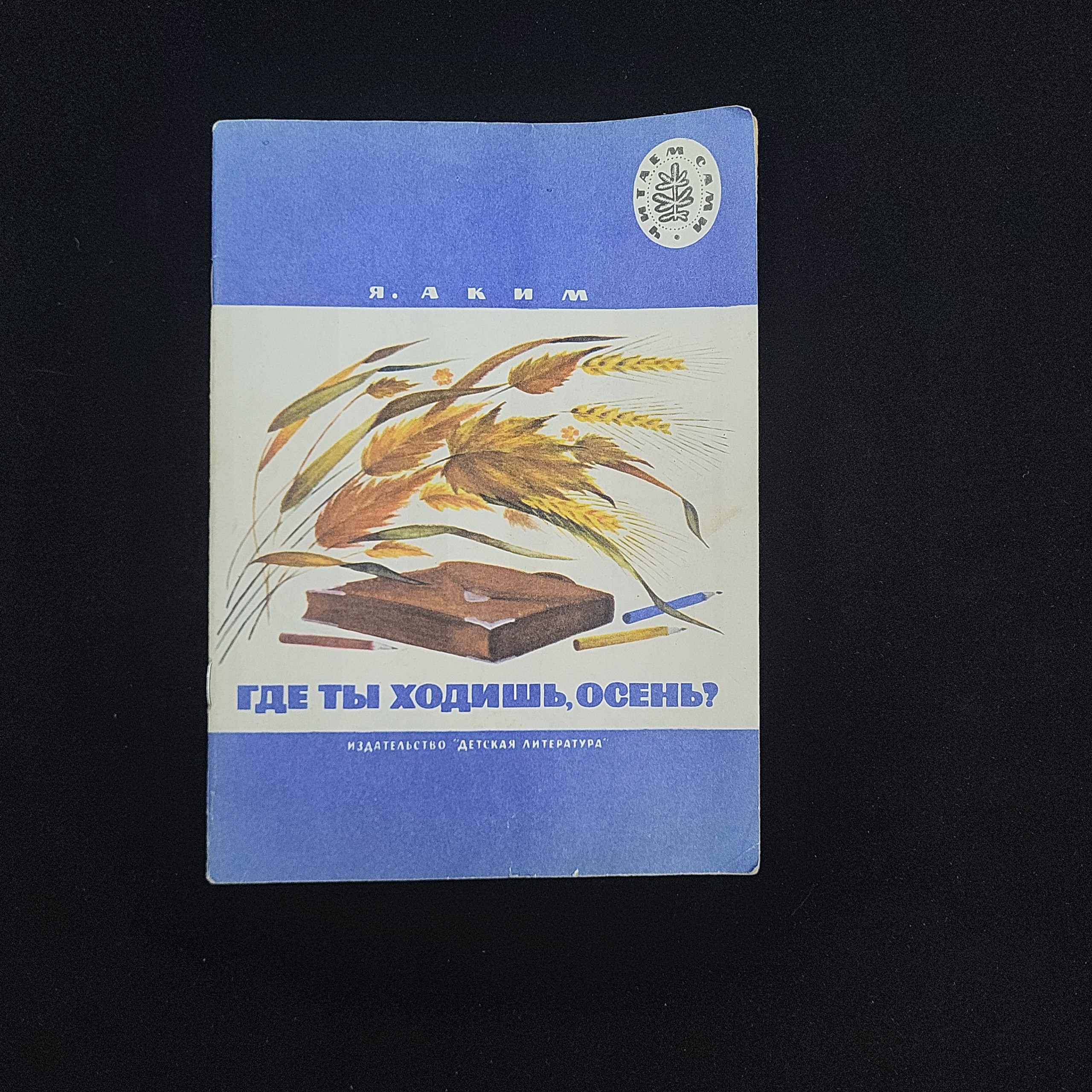 Картинка 1