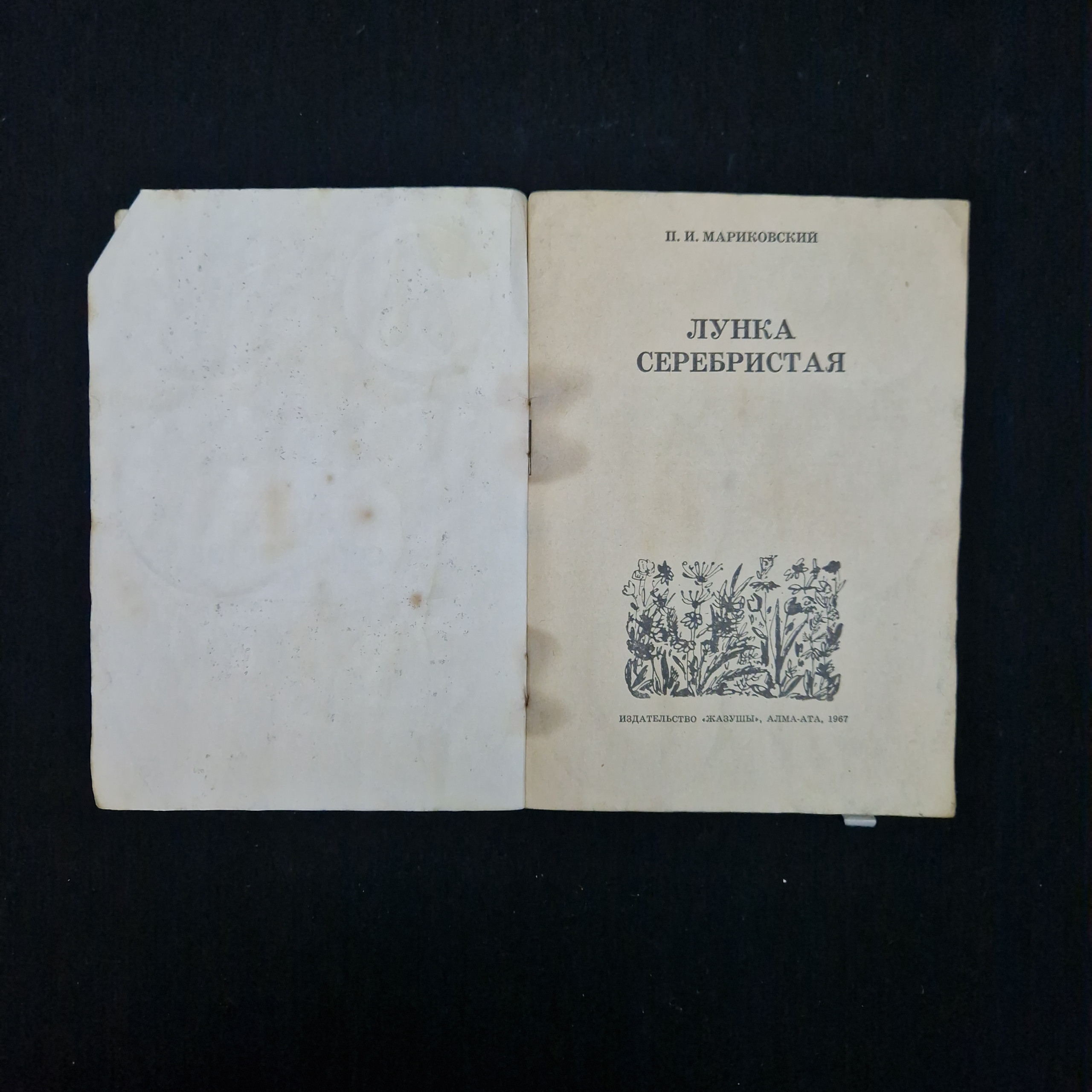 Картинка 3