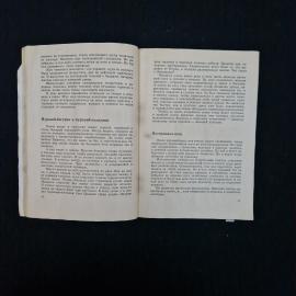 Картинка 4