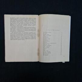 Картинка 5