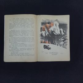 Картинка 4