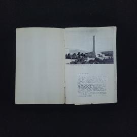 Картинка 3