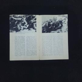 Картинка 4