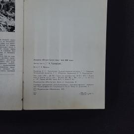 Картинка 5