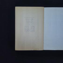 Картинка 5