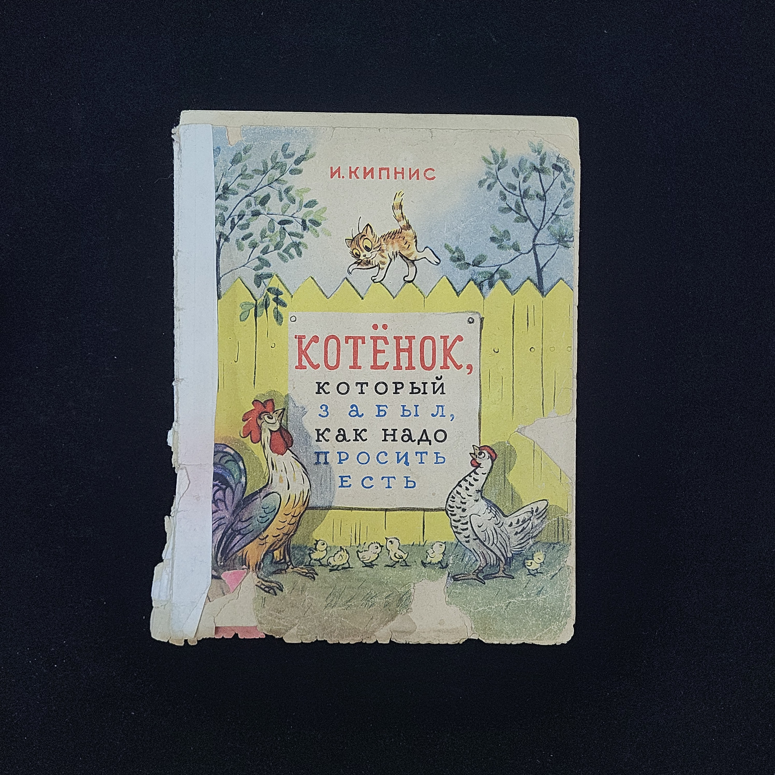 Картинка 1