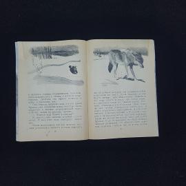 Картинка 4