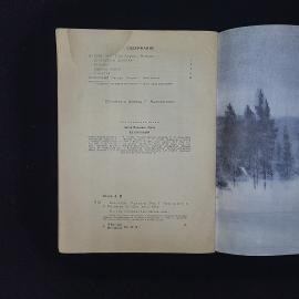Картинка 5
