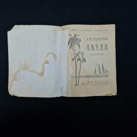 Картинка 3