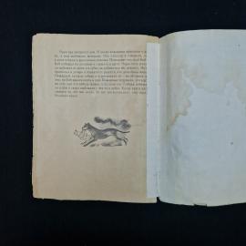 Картинка 6