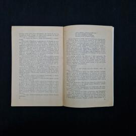 Картинка 4