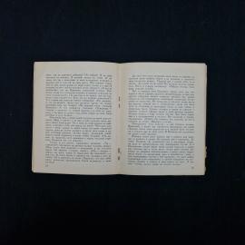 Картинка 5