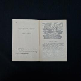 Картинка 4