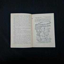 Картинка 5