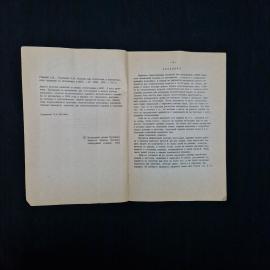 Картинка 4