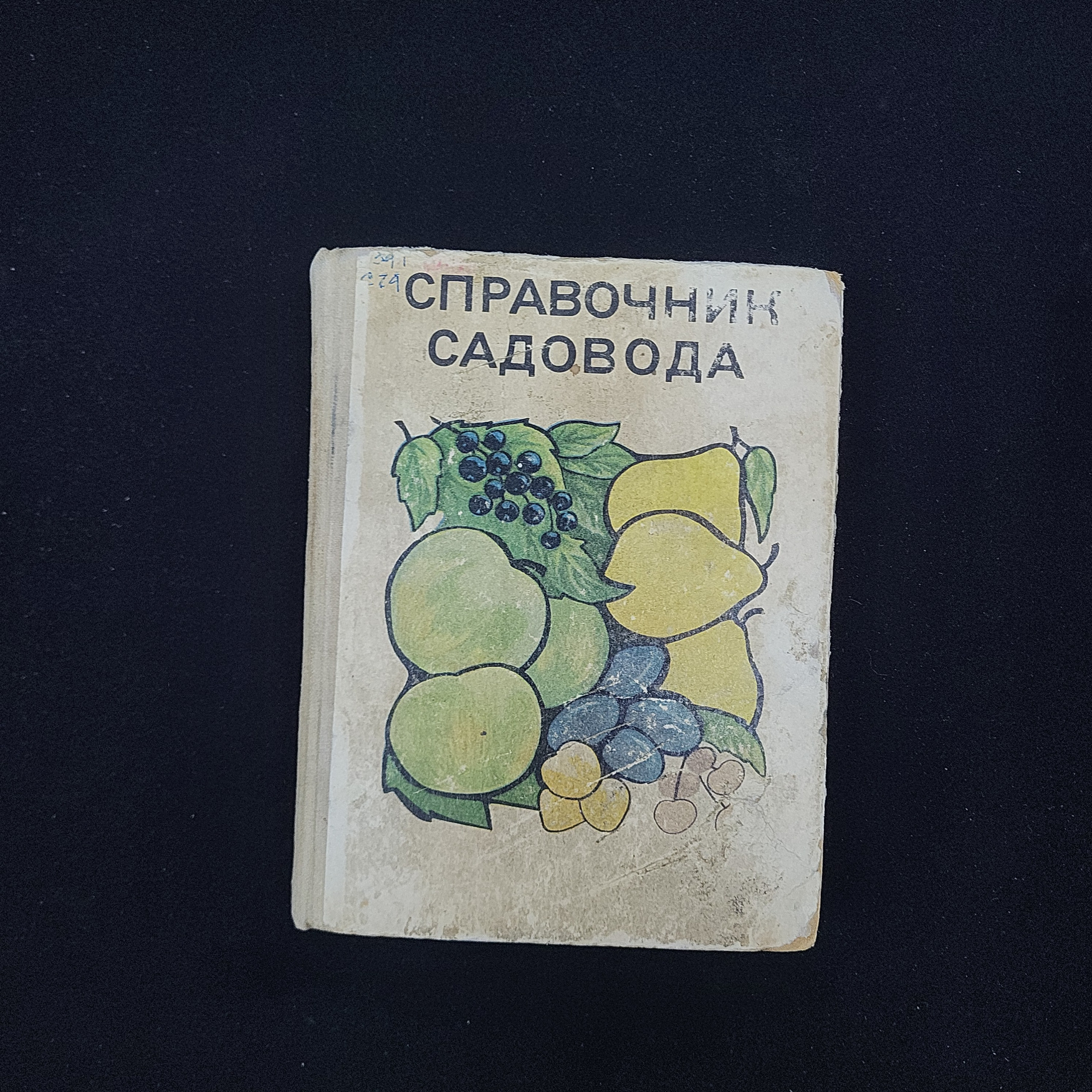 Картинка 1