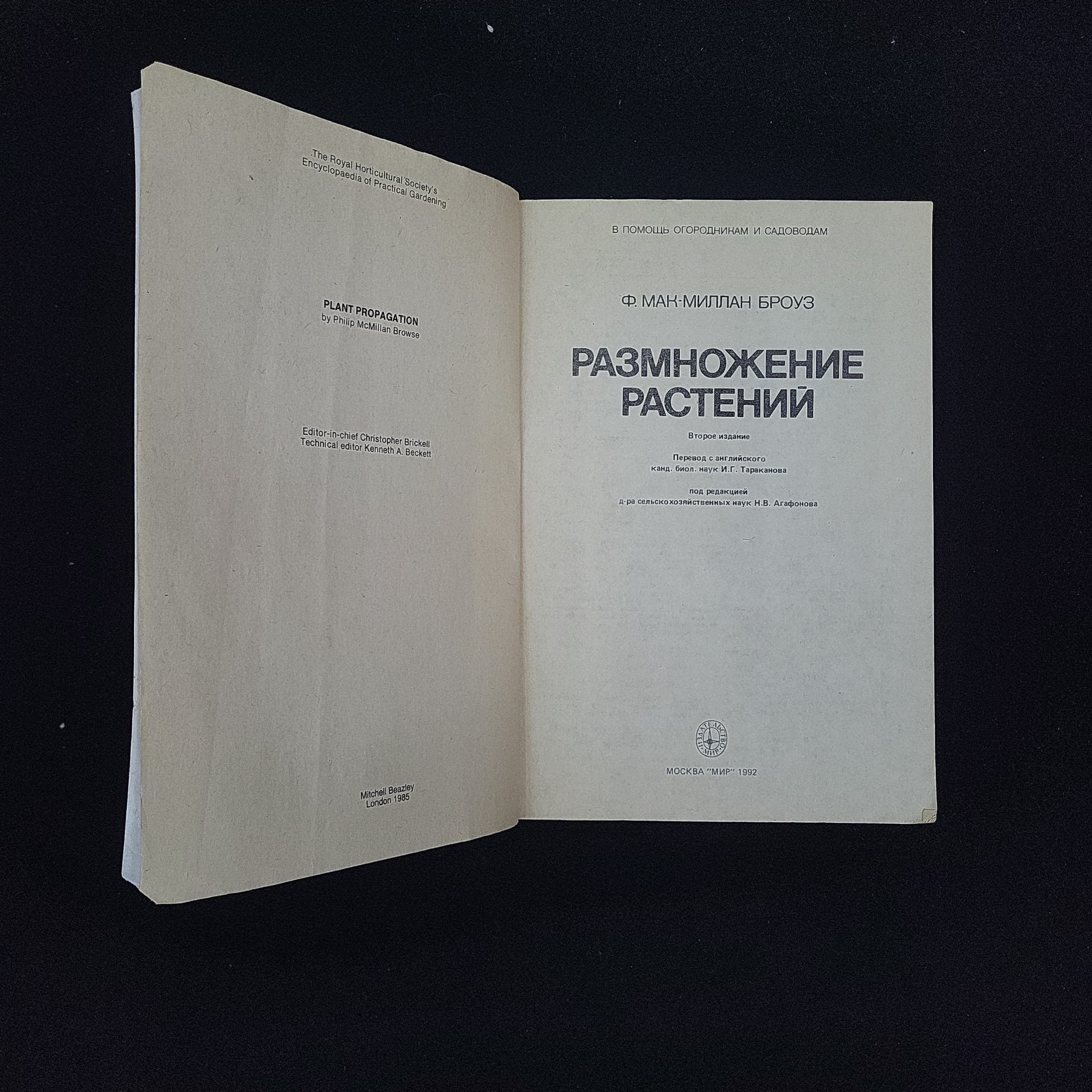 Картинка 3
