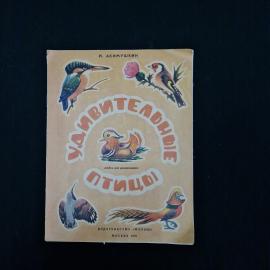 И. Акимушкин. Удивительные птицы. Книга, альбом для раскрашивания