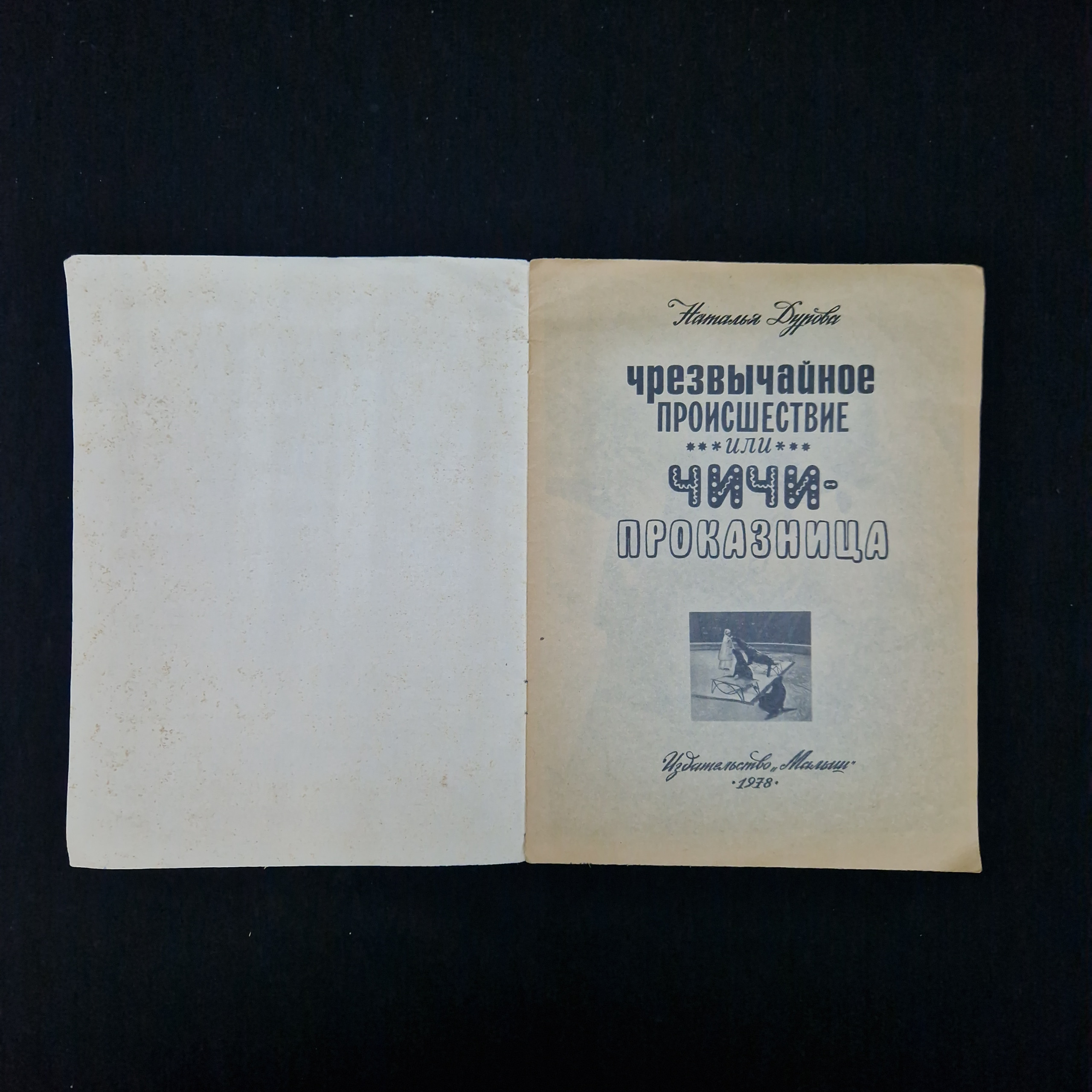 Картинка 3