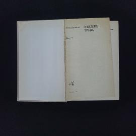 Картинка 3