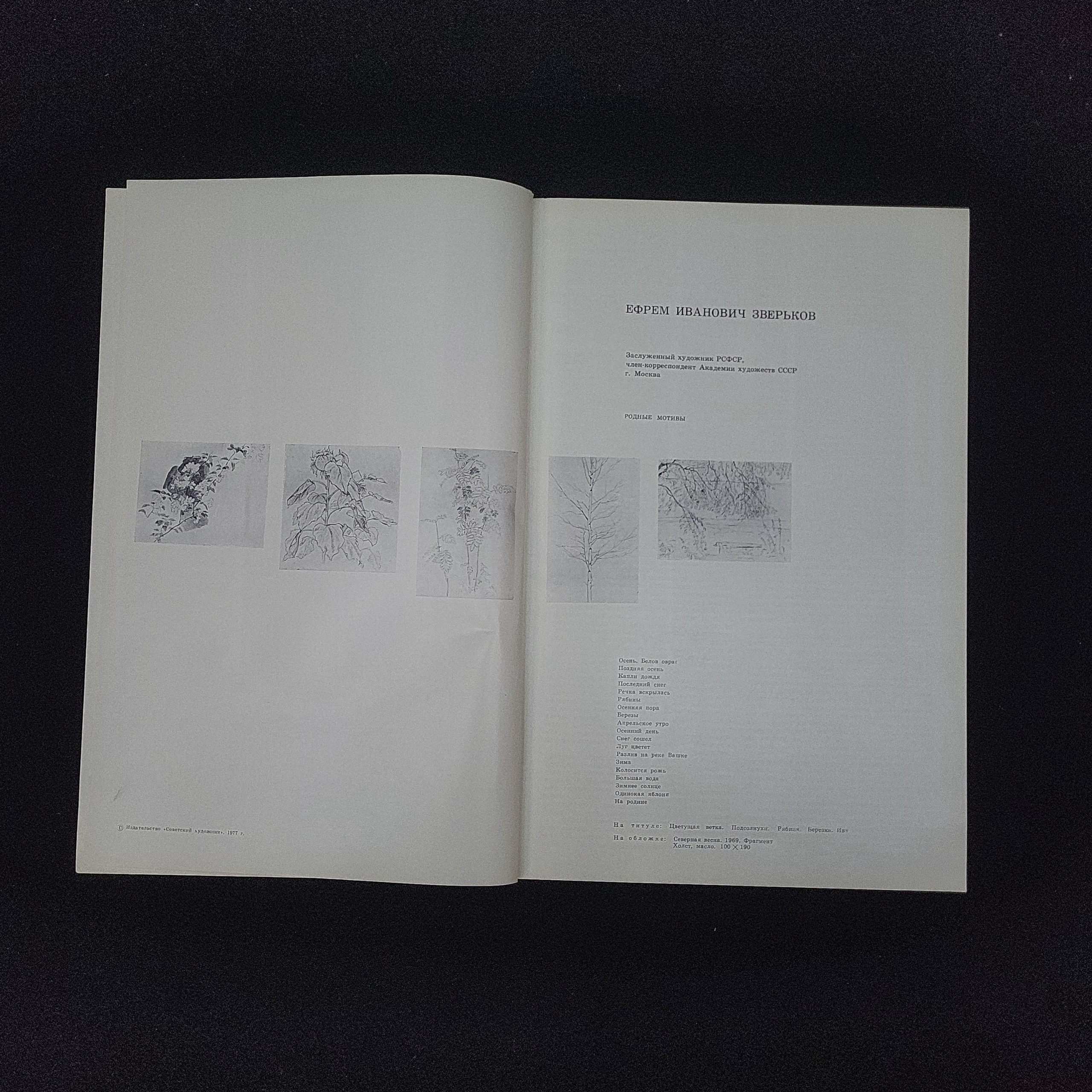 Картинка 3