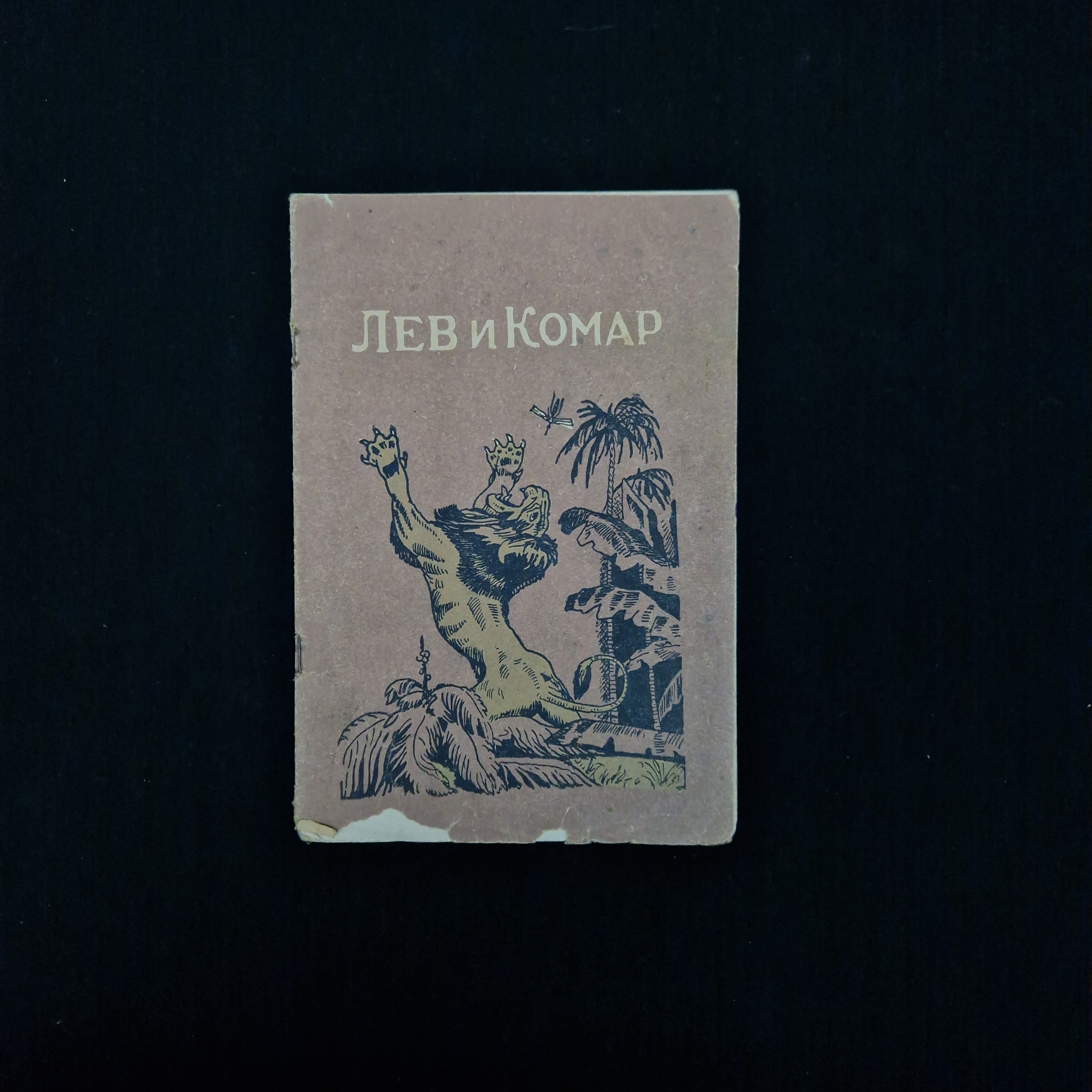 Картинка 1