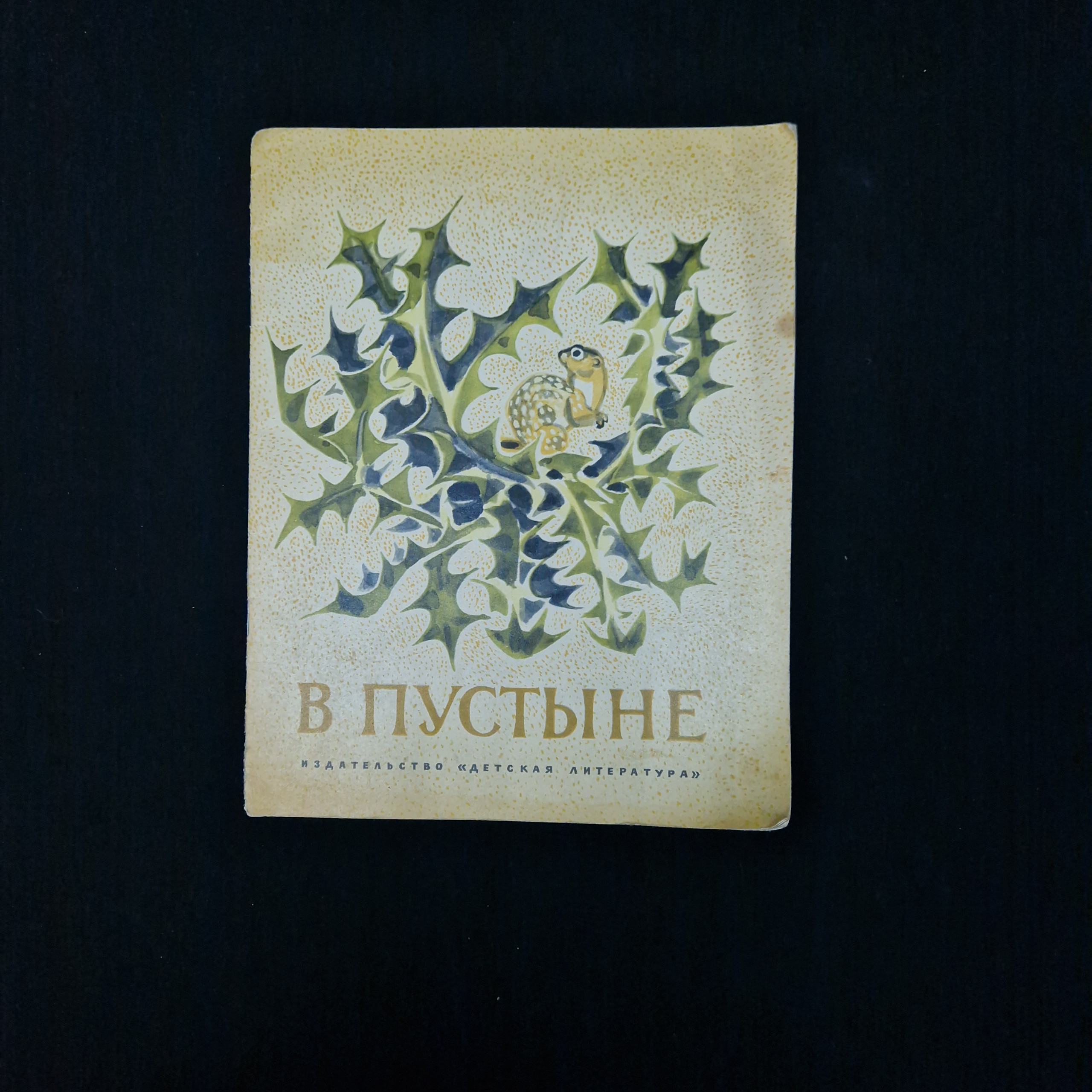 Картинка 1