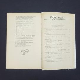 Картинка 5