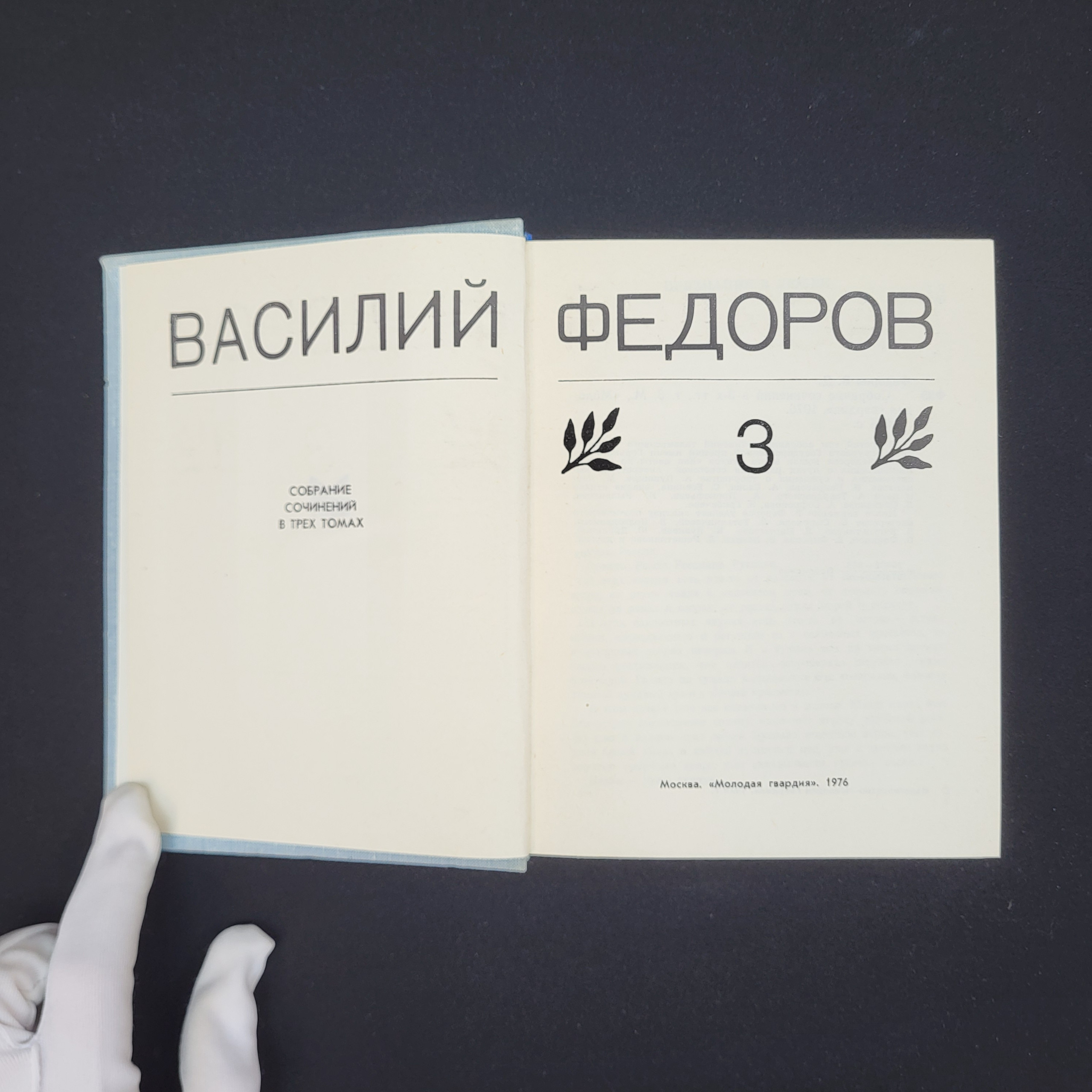 Картинка 2