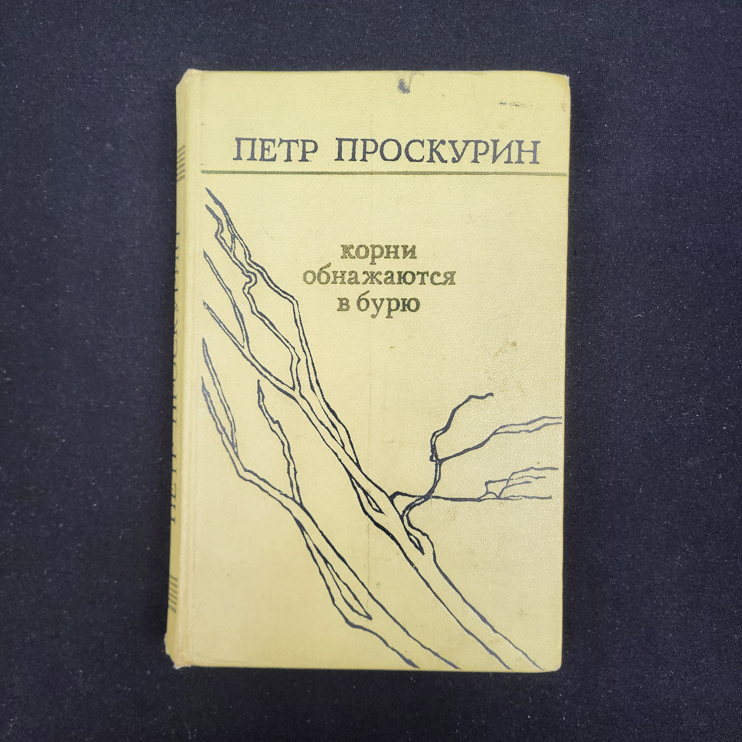 Картинка 1