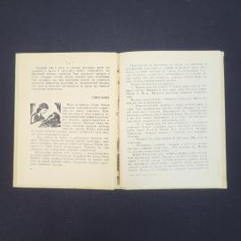 Картинка 3