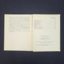 Картинка 4
