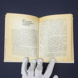 Картинка 3