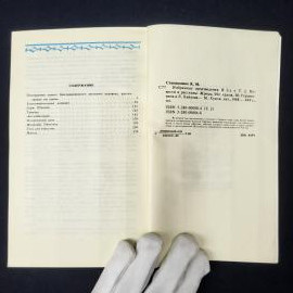Картинка 4