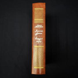 Картинка 6