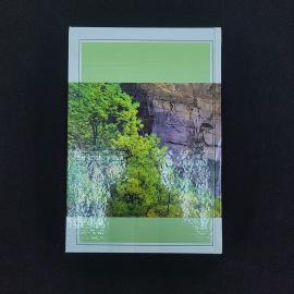 Картинка 2