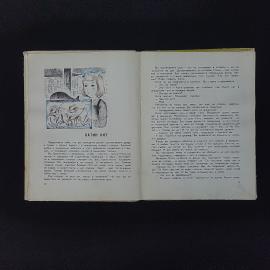 Картинка 4