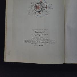 Картинка 6