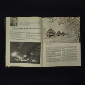 Картинка 4