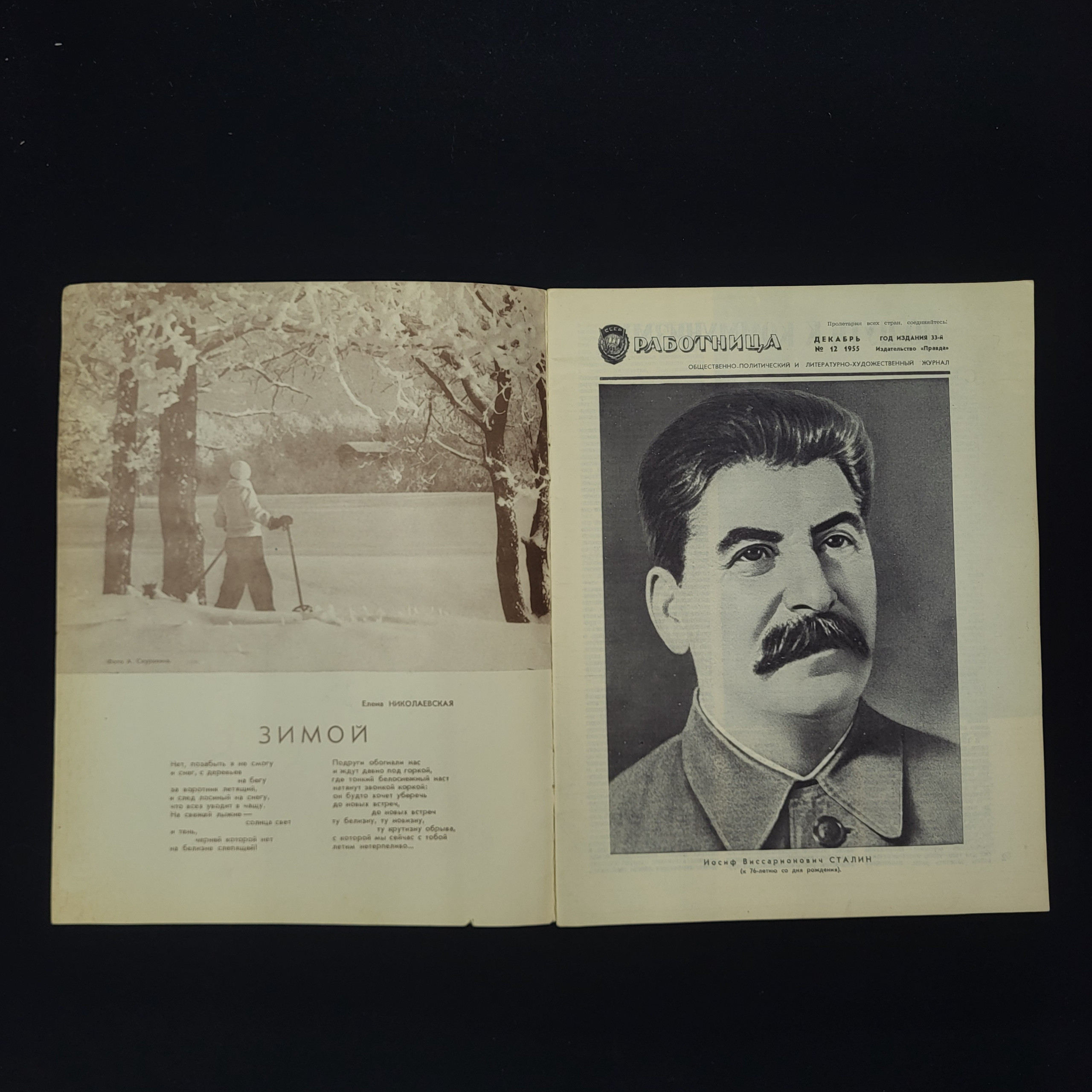Картинка 3