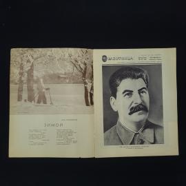 Картинка 3