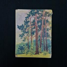 Картинка 2