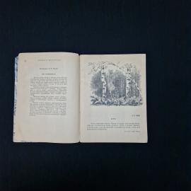 Картинка 4
