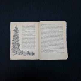 Картинка 5