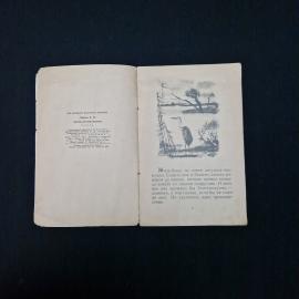 Картинка 4